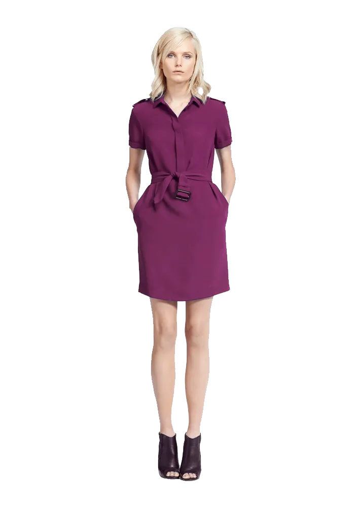 Belted Mulberry Silk Dress