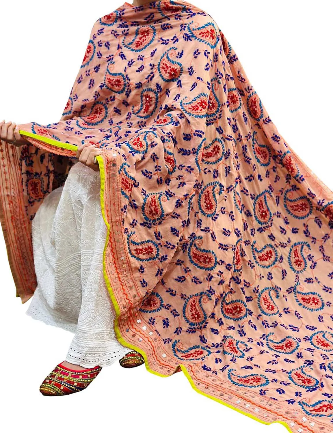 Hand Embroidered Pastel Phulkari Georgette Dupatta - Exquisite Beauty